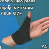 ΙΝΕΜΑ